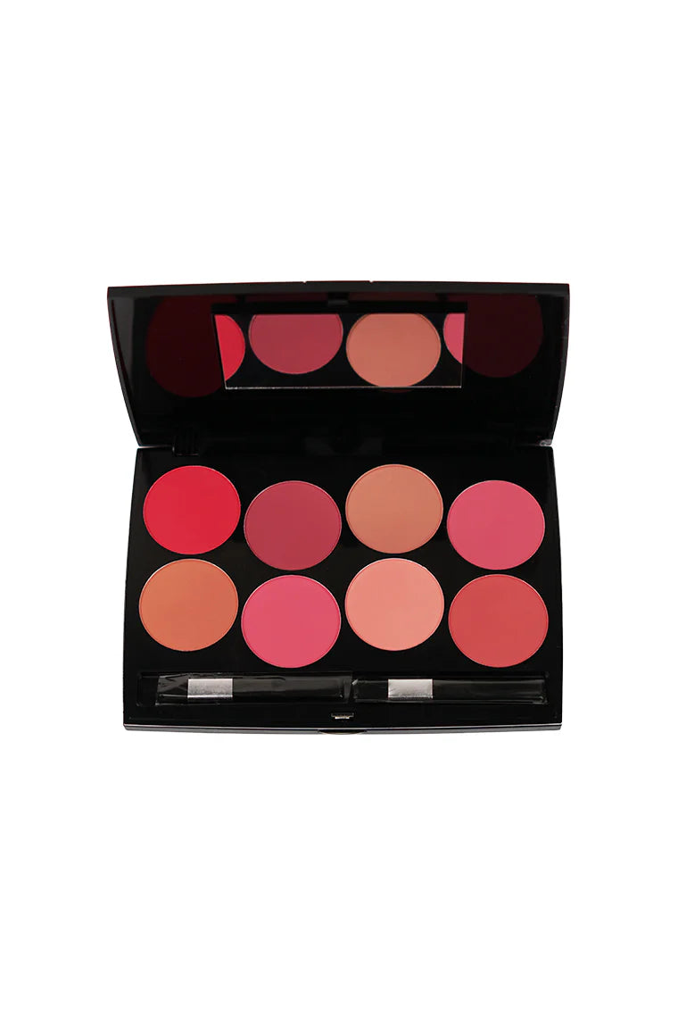 Professional Blush On 8 Color Kit